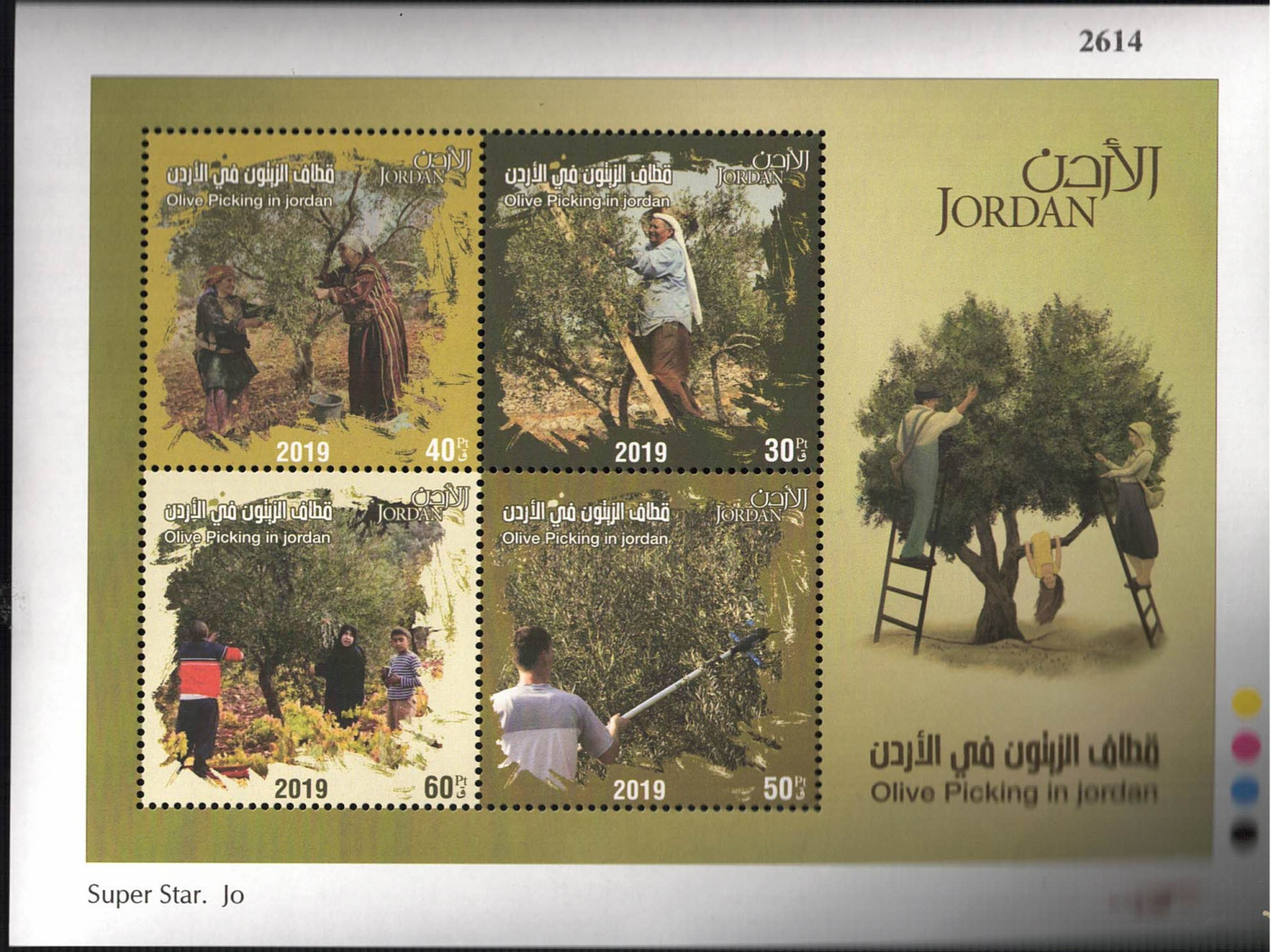 قطاف الزيتون 2019 Olive Harvest – 2019