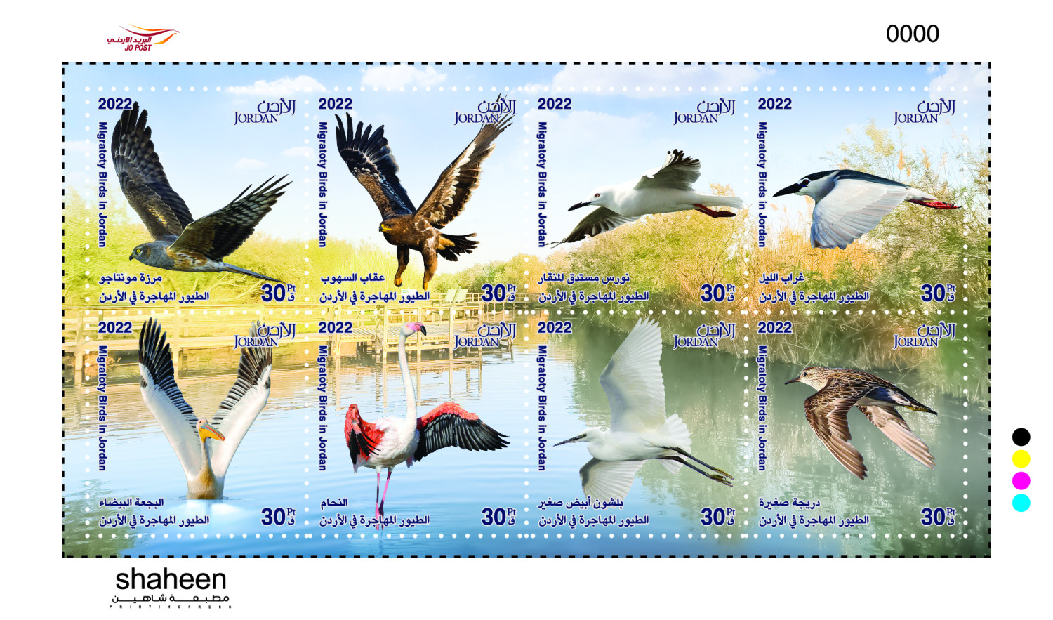 الطيور المهاجرة في الأردن  Migratory Birds in Jordan 2022